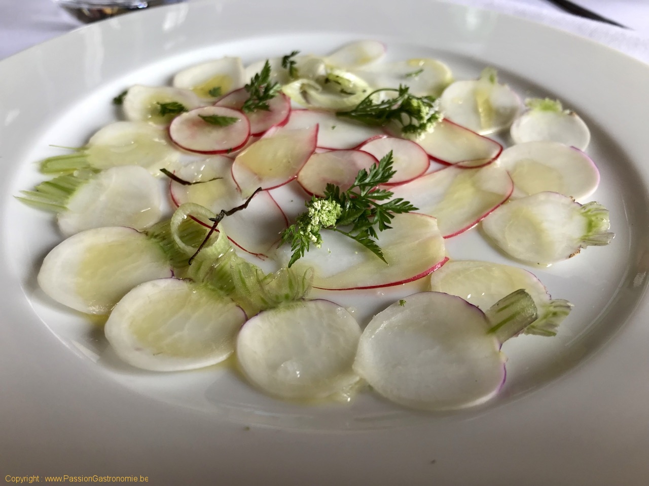 Les Jardins d'Alain Passard - Carpaccio de navets et radis, huile de noix, cerfeuil